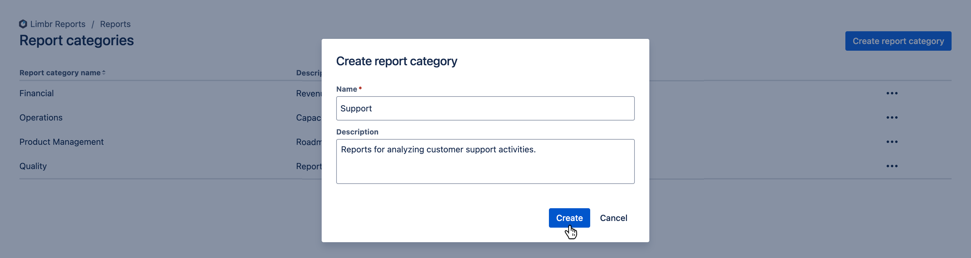 Create report category dialog with all fields populated and the 'Create' button hovered