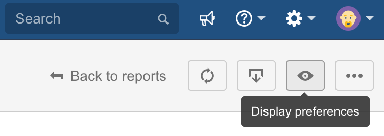 Report screen header with the 'Display preferences' button hovered