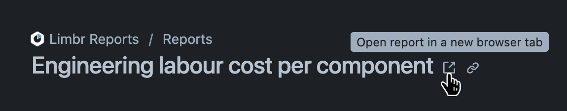 Report screen header with the 'Open report in new tab' icon hovered