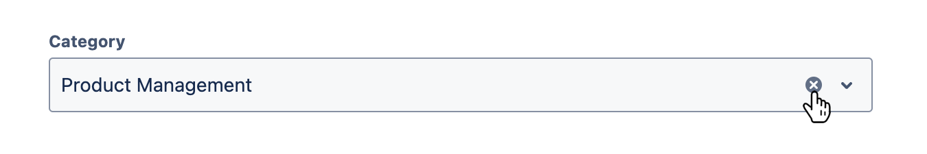 'Category' field with 'X' icon hovered